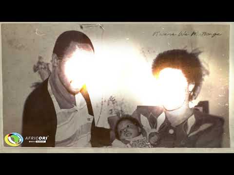 Kelvin Momo - MOMO We Wanna Party (Official Audio)